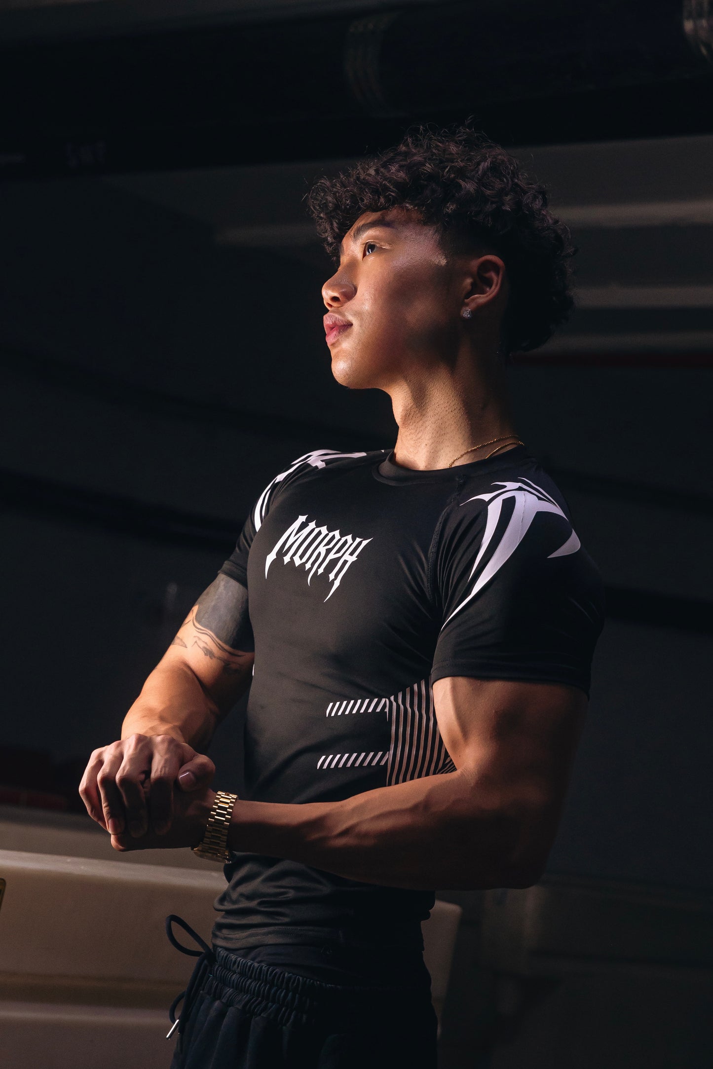 Morph V1 Compression