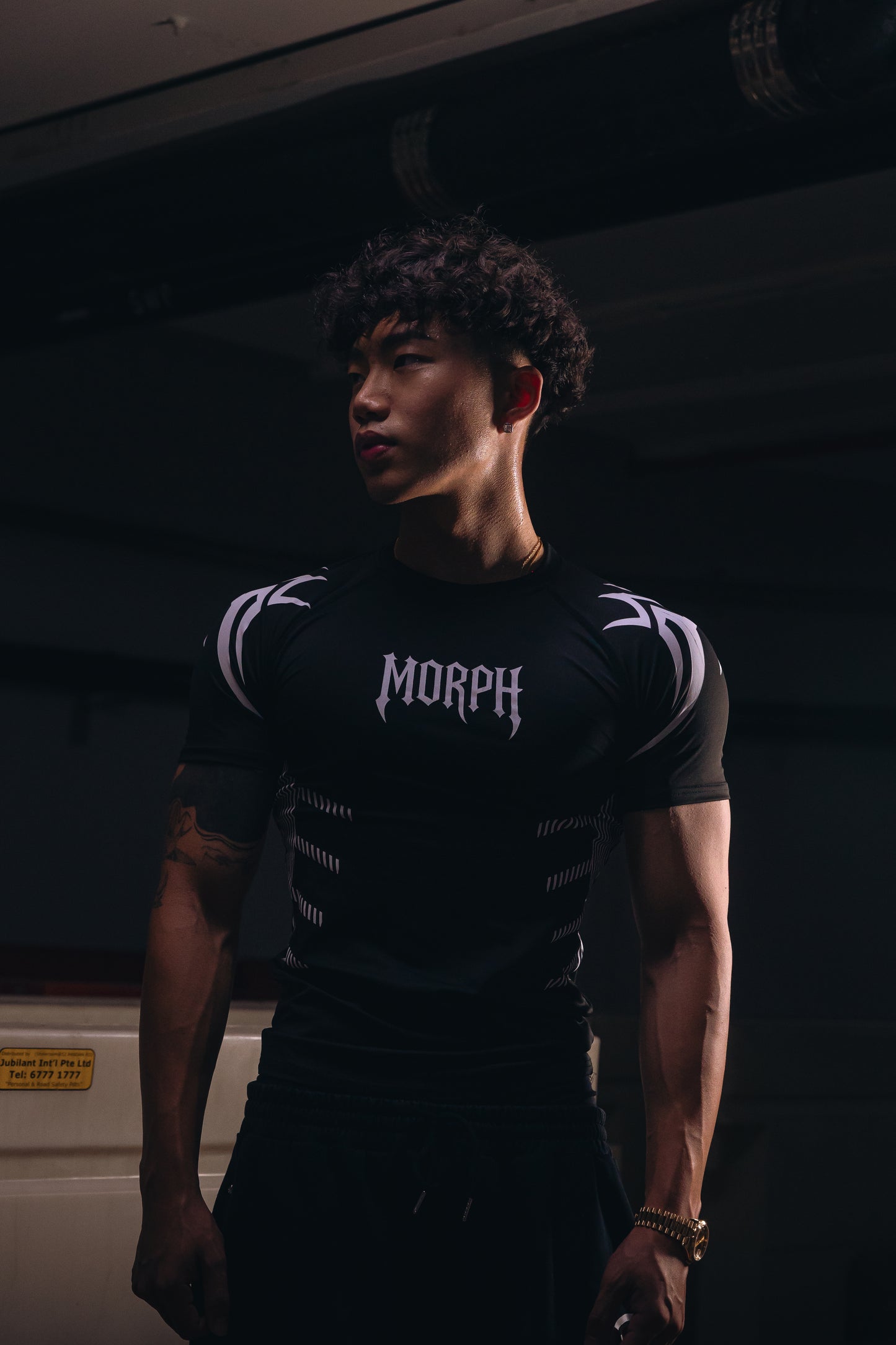 Morph V1 Compression